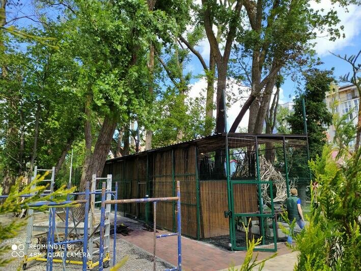 "Загорелась проводка, орёл жив": в музее "ФилоСовия" прокомментировали пожар  - Новости Калининграда | Фото: очевидец