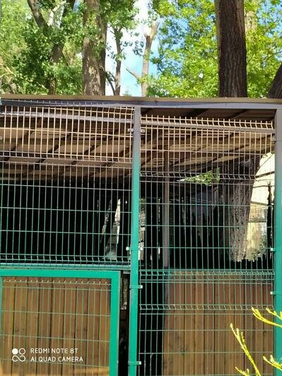 "Загорелась проводка, орёл жив": в музее "ФилоСовия" прокомментировали пожар  - Новости Калининграда | Фото: очевидец