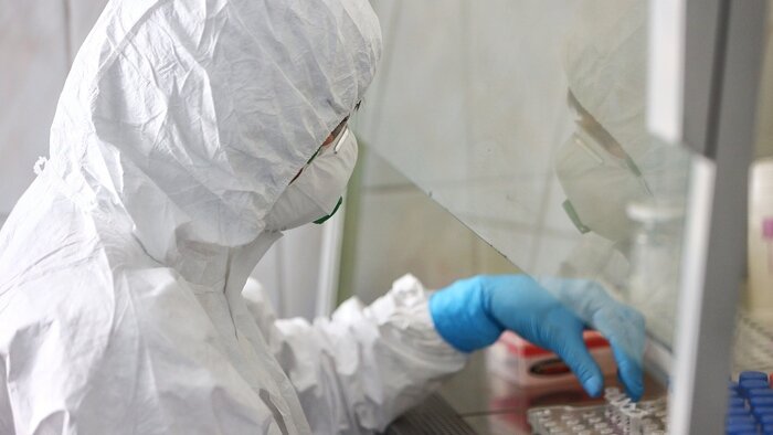Где в Калининграде можно бесплатно провериться на иммунитет к COVID-19  - Новости Калининграда | Архив &quot;Клопс&quot;