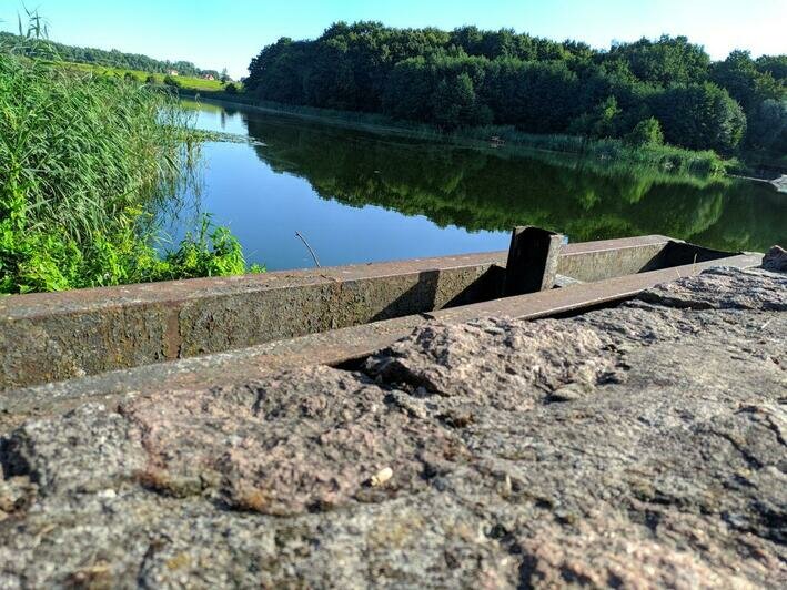 Под Гурьевском открыли мост, который незаконно перегородил местный бизнесмен - Новости Калининграда | Фото: Иван Сигитов