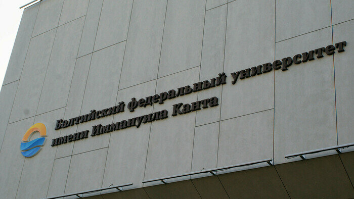 В калининградских вузах конкурс на некоторые специальности перевалил за 20 человек на место - Новости Калининграда | Архив &quot;Клопс&quot;