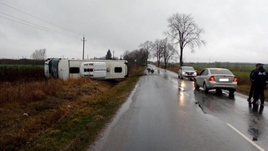 Водитель перевернувшегося под Гусевом пассажирского автобуса заплатит штраф - Новости Калининграда | Фото: пресс-служба УМВД России по Калининградской области