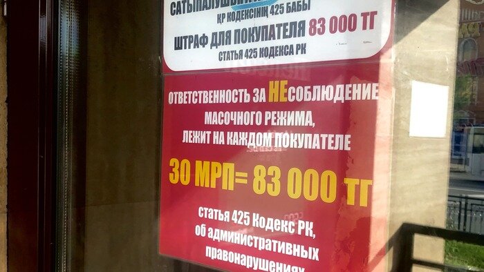 Аскорбинки нет, но вы держитесь: путешествие из Калининграда в Казахстан во время карантина - Новости Калининграда | Фото: Анжелика Сапковская