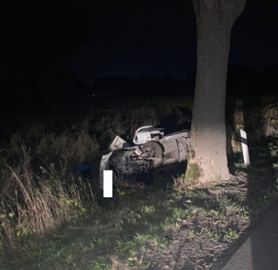 В Зеленоградском районе легковушка врезалась в дерево, водитель погиб - Новости Калининграда | Фото: пресс-служба УМВД России по Калининградской области
