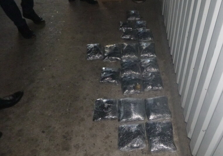 Калининградская таможня не пропустила в Литву 16,5 кг контрабандного янтаря (фото, видео) - Новости Калининграда | Фото: пресс-служба Калининградской областной таможни