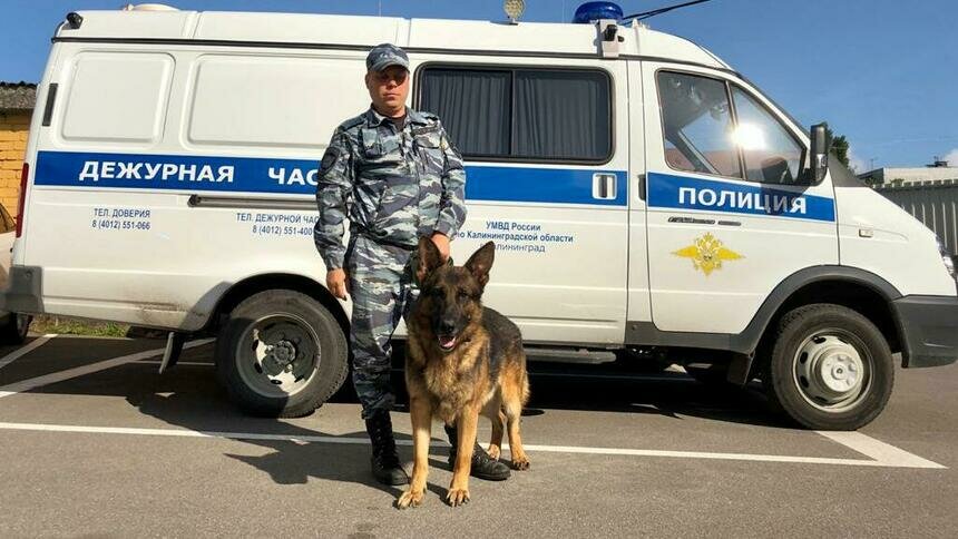 В полиции рассказали подробности задержания подозреваемого в изнасиловании 15-летней калининградки - Новости Калининграда | Фото: пресс-служба УМВД России по Калининградской области