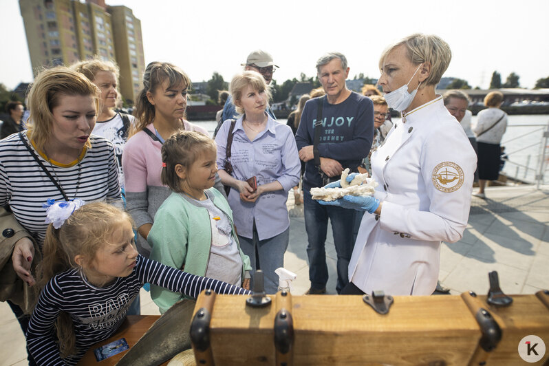 Как в Калининграде проходит "Водная ассамблея" (фоторепортаж) - Новости Калининграда | Фото: Александр Подгорчук