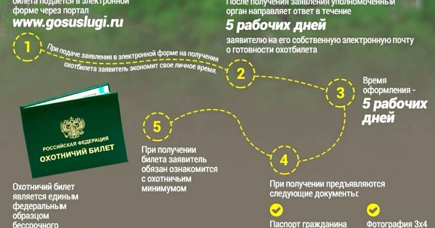 Депутаты облдумы: Очереди за охотничьими билетами &quot;провоцируют драки&quot; - Новости Калининграда | Инфографика — сайт &quot;Госуслуги&quot;