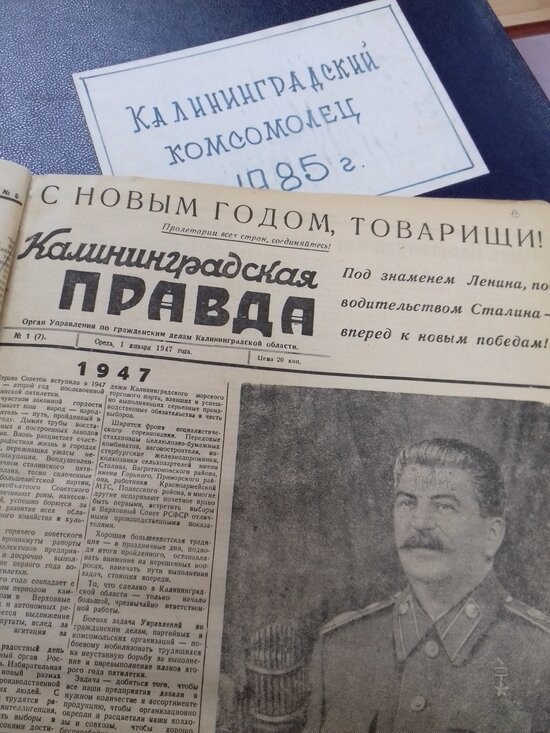 “Кровавая собака Берия и ёлка из китового уса”: что писали накануне Нового года калининградские газеты в 1940-90-х - Новости Калининграда |  Государственный архив Калининградской области