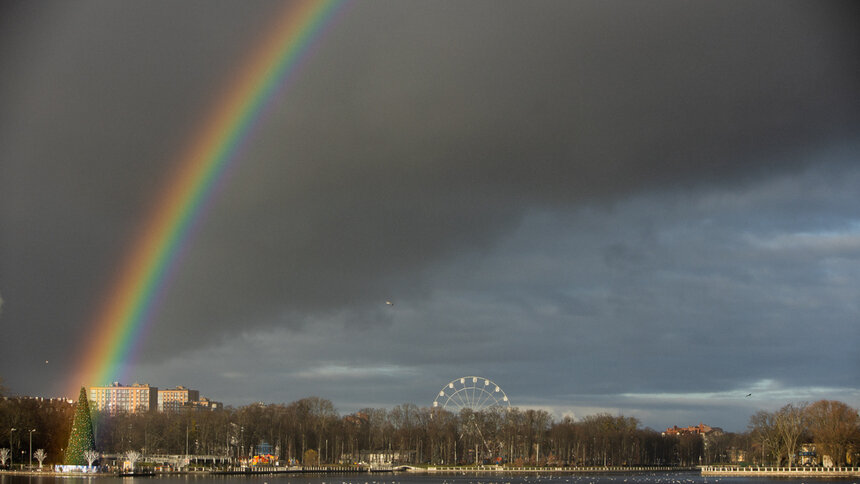 До +6: прогноз погоды на последние дни новогодних каникул в Калининграде - Новости Калининграда | Фото: Александр Подгорчук