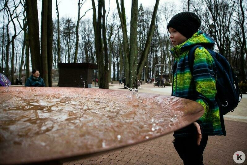 В Гурьевске открыли уникальный Парк пяти чувств (фоторепортаж) - Новости Калининграда | Александр Подгорчук / &quot;Клопс&quot;