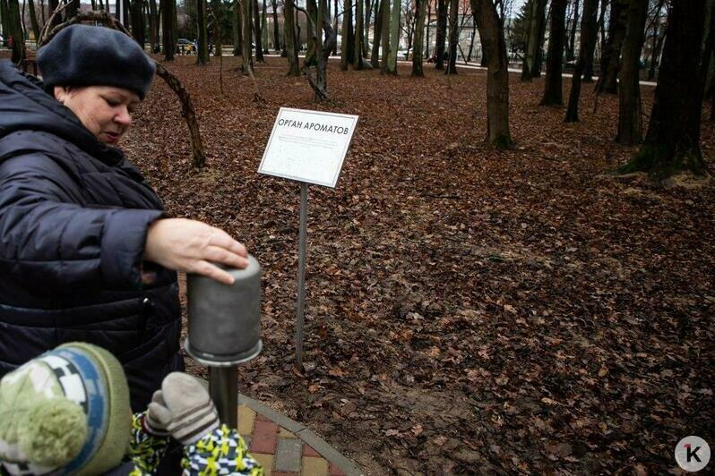 В Гурьевске открыли уникальный Парк пяти чувств (фоторепортаж) - Новости Калининграда | Александр Подгорчук / &quot;Клопс&quot;