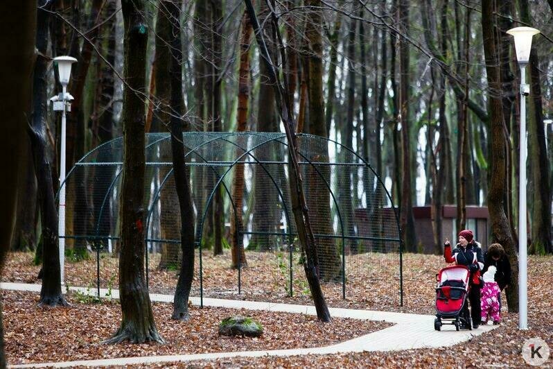 В Гурьевске открыли уникальный Парк пяти чувств (фоторепортаж) - Новости Калининграда | Александр Подгорчук / &quot;Клопс&quot;