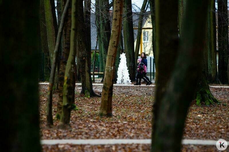 В Гурьевске открыли уникальный Парк пяти чувств (фоторепортаж) - Новости Калининграда | Александр Подгорчук / &quot;Клопс&quot;