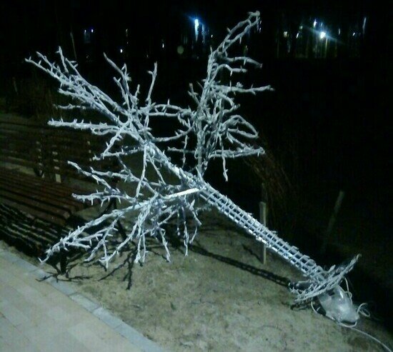 В Парке пяти чувств Гурьевска неизвестные сломали светящееся дерево (фото) - Новости Калининграда | Фото: Марина Ладонкина