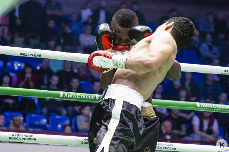 В Калининграде прошло боксёрское шоу мировых чемпионов и звёзд спорта (фоторепортаж) - Новости Калининграда | Фото: Александр Подгорчук / &quot;Клопс&quot;