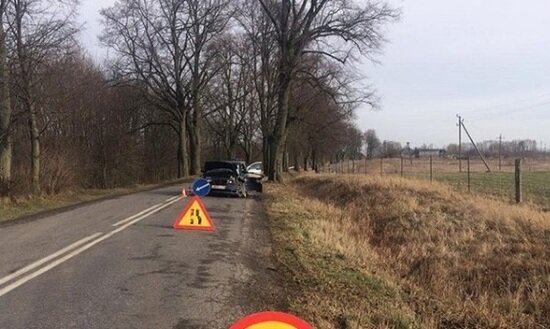 В Озёрском районе BMW врезался в дерево, пострадал 57-летний водитель   - Новости Калининграда | Фото: пресс-служба УМВД России по Калининградской области