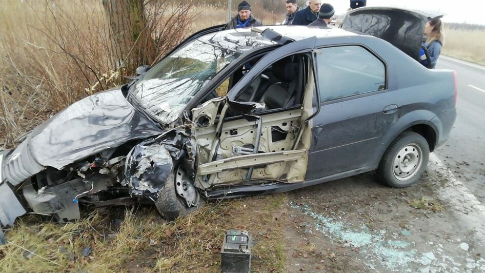 Под Светлым пострадал 57-летний водитель, который уснул за рулём и врезался в дерево - Новости Калининграда | Фото: очевидец