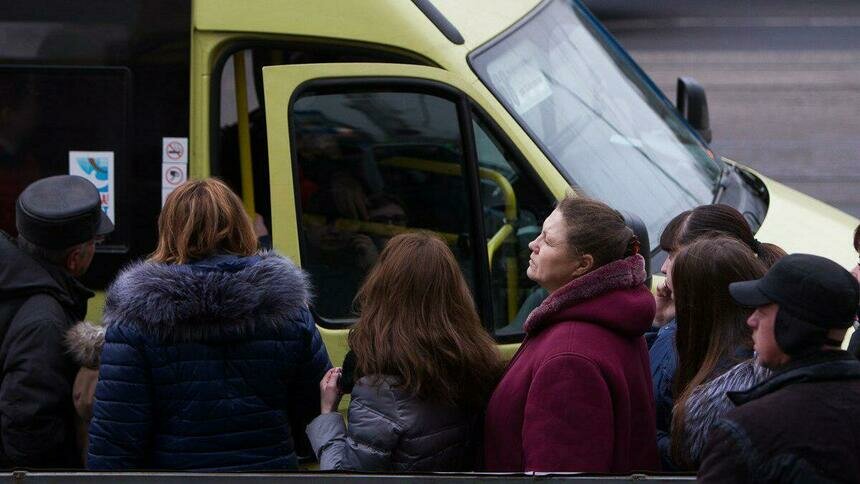 Калининградка пожаловалась Силанову, что водители 64-й маршрутки едят беляши - Новости Калининграда | Архив &quot;Клопс&quot;