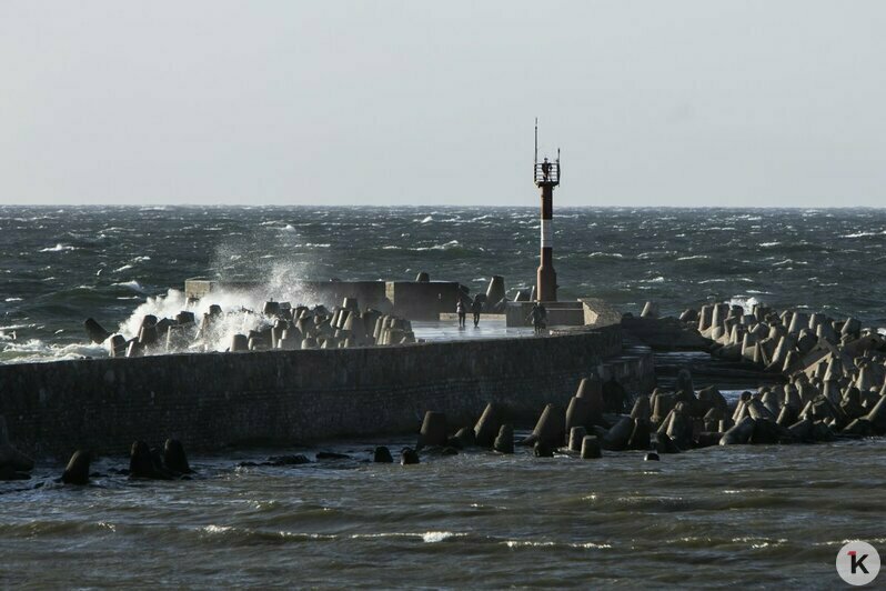 Брызги, волны, кайтсёрфинг: шторм на Балтийском море (фоторепортаж) - Новости Калининграда | Фото: Александр Подгорчук / &quot;Клопс&quot;