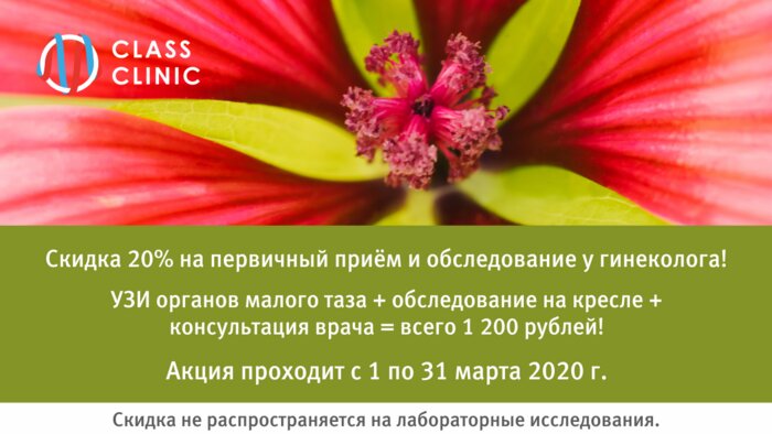 Ультразвуковое исследование органов малого таза и консультация гинеколога за 1200 рублей - Новости Калининграда