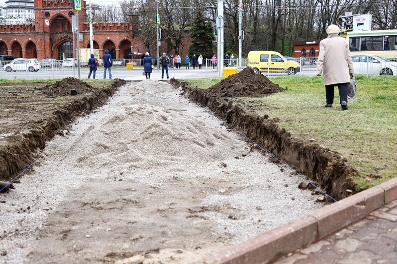 На площади Василевского строят тротуары на вытоптанных газонах (фото) - Новости Калининграда | Фото: Александр Подгорчук / &quot;Клопс&quot;