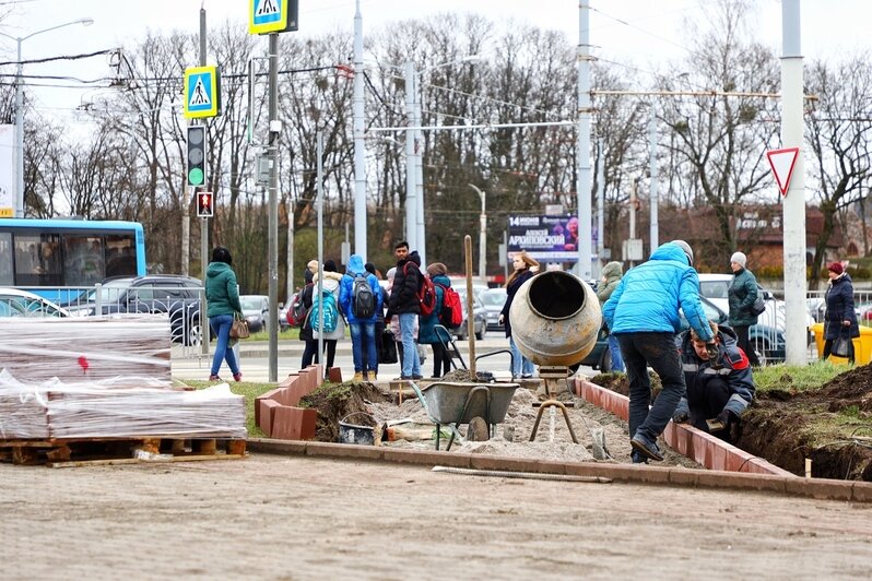 На площади Василевского строят тротуары на вытоптанных газонах (фото) - Новости Калининграда | Фото: Александр Подгорчук / &quot;Клопс&quot;