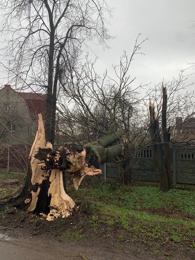 Что ураганный ветер натворил в Калининградской области (фото, видео) - Новости Калининграда | Фото: очевидец