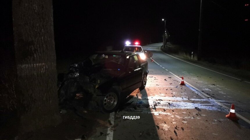 В Багратионовском районе легковушка врезалась в дерево, водитель погиб - Новости Калининграда | Фото: пресс-служба регионального УМВД
