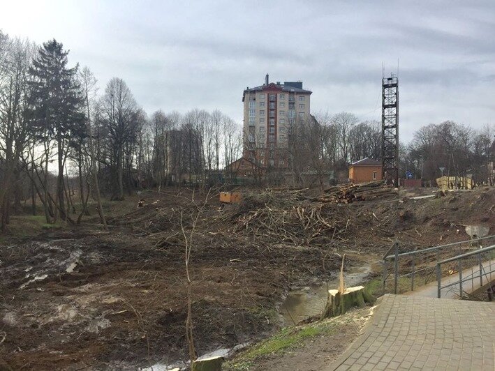 В Пионерском начали строить дорогу к будущему порту (фото) - Новости Калининграда | Фото: читатель &quot;Клопс&quot;