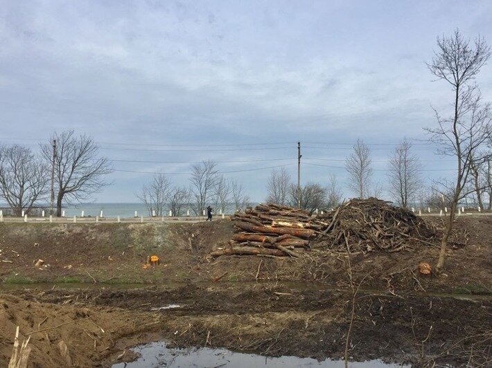 В Пионерском начали строить дорогу к будущему порту (фото) - Новости Калининграда | Фото: читатель &quot;Клопс&quot;