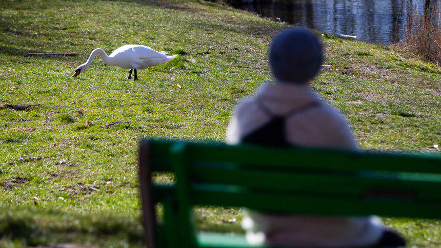Климатолог рассказала о погоде в апреле в Калининграде - Новости Калининграда | Архив "Клопс"