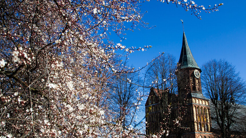Синоптики рассказали о погоде в Калининграде на последние выходные марта - Новости Калининграда | Архив "Клопс"