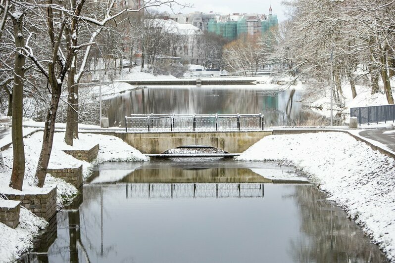 Мартовский снег в Калининграде (фото) - Новости Калининграда | Александр Подгорчук / &quot;Клопс&quot;
