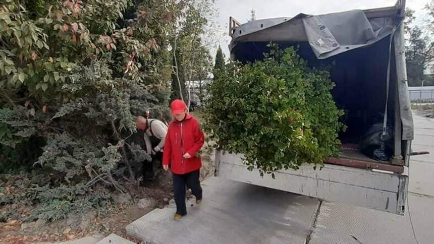 Со стройплощадки дома на ул. Донского перевезли первые из 30 деревьев и кустов - Новости Калининграда | Фото: пресс-служба администрации Калининграда / Facebook