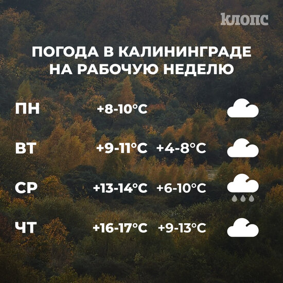 Синоптики рассказали о погоде в Калининграде на рабочую неделю - Новости Калининграда