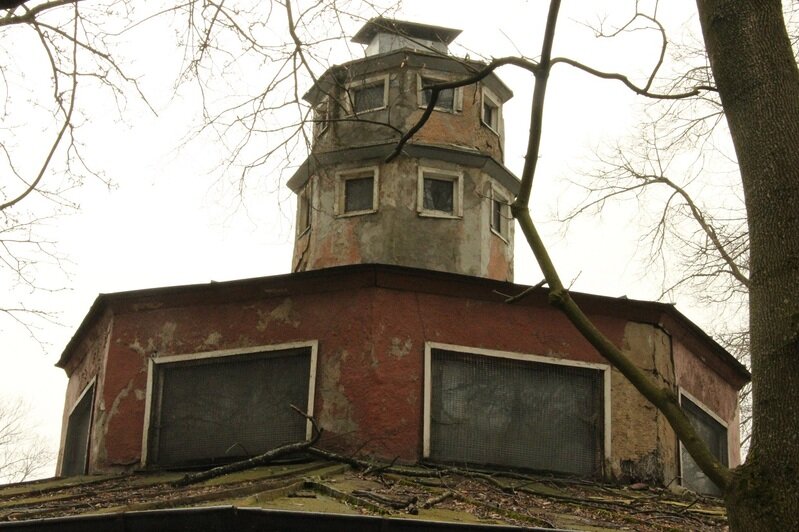 В Калининградском зоопарке из-за угрозы обрушения закрыли террариум (фото) - Новости Калининграда | Фото: Калининградский зоопарк