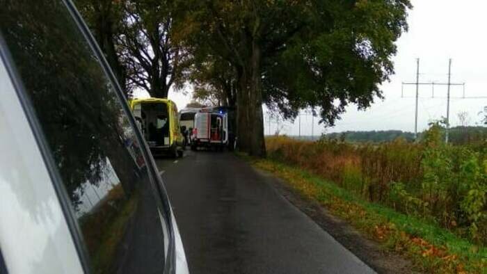 В Зеленоградском районе пассажирский автобус попал в ДТП, пострадал водитель - Новости Калининграда | Фото: очевидец