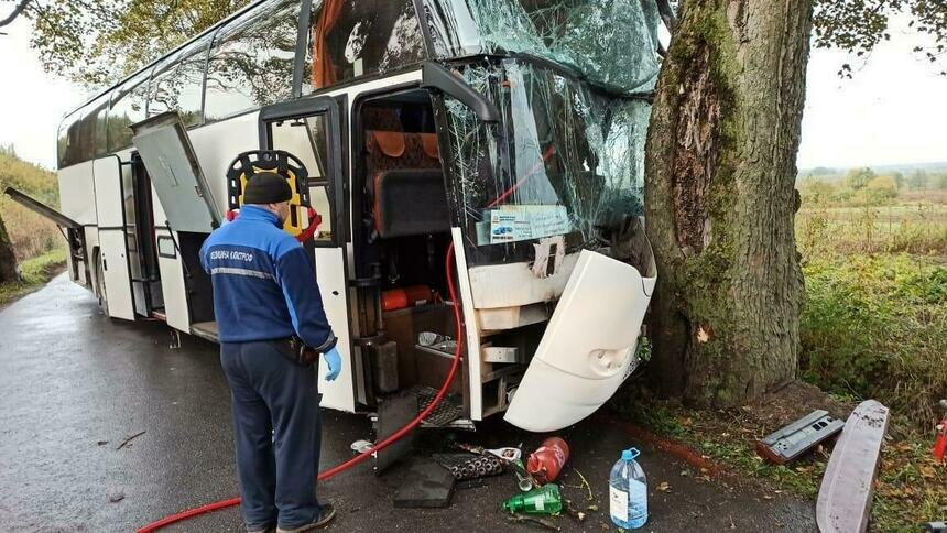 В Зеленоградском районе пассажирский автобус попал в ДТП, пострадал водитель - Новости Калининграда | Фото: пресс-служба УМВД России по Калининградской области