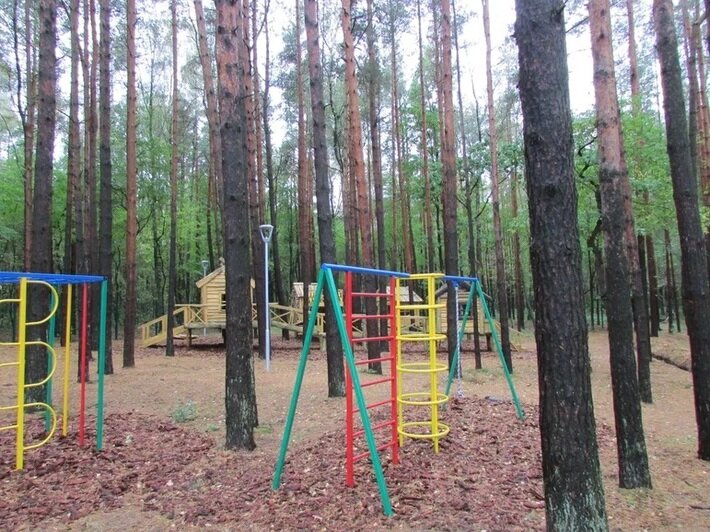 В Калининграде откроется самый большой физкультурно-оздоровительный комплекс - Новости Калининграда