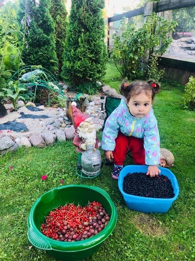 Двухлетняя калининградка участвует в конкурсе "Самая красивая девочка России" (фото) - Новости Калининграда | Фото предоставила мама девочки