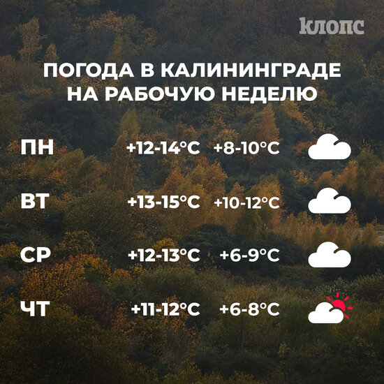 Синоптики рассказали о погоде в Калининграде на рабочую неделю - Новости Калининграда