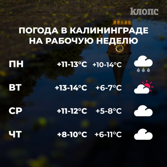 Синоптики рассказали о погоде в Калининграде на первую рабочую неделю ноября - Новости Калининграда