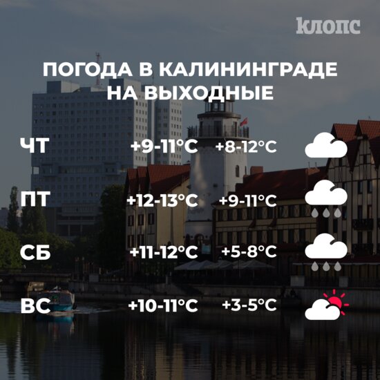 Синоптики рассказали о погоде в Калининграде на выходные - Новости Калининграда