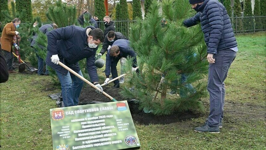 В Балтийске заложили аллею в саду спортивной славы - Новости Калининграда | Изображение: фрагмент скриншота поста Антона Алиханова в Instagram