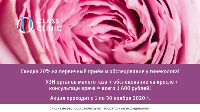 УЗИ и консультация гинеколога за 1600 рублей: запишитесь со скидкой 20% - Новости Калининграда