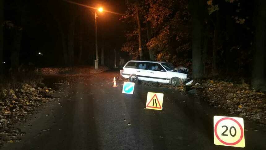 В Ладушкине легковушка с пьяным водителем без прав врезалась в дерево - Новости Калининграда | Фото: пресс-служба УМВД России по Калининградской области