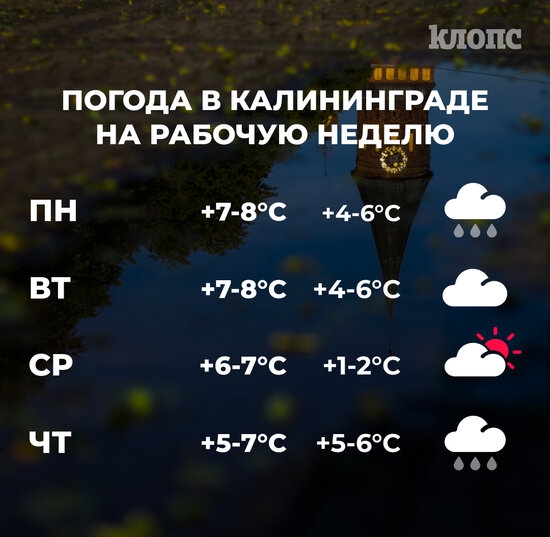 Синоптики рассказали о погоде в Калининграде на рабочую неделю - Новости Калининграда