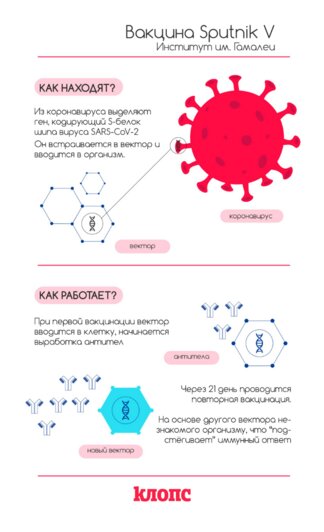 "Спутник V", "ЭпиВакКорона" и другие препараты: эксперт БФУ — о вакцинации от COVID-19  - Новости Калининграда