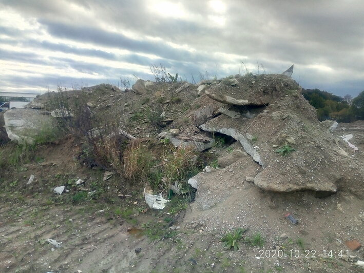 В Орловке нашли несколько десятков 200-литровых бочек с неизвестным веществом - Новости Калининграда | Фото: пресс-служба управления Росприроднадзора по СЗФО